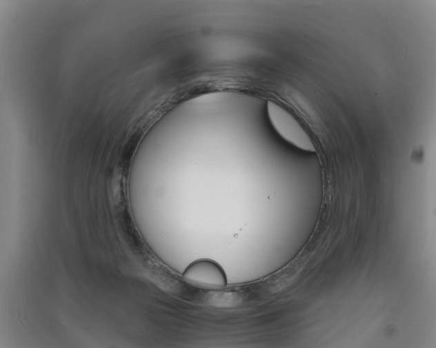 X0000091550169200708171048