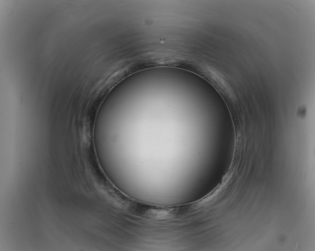 X0000091550170200708171048