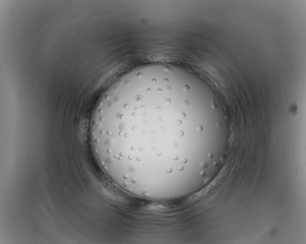 X0000091550171200708171048