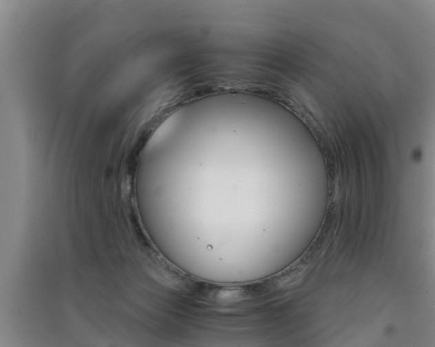 X0000091550173200708171048