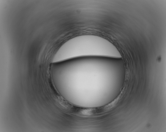 X0000091550178200708171048