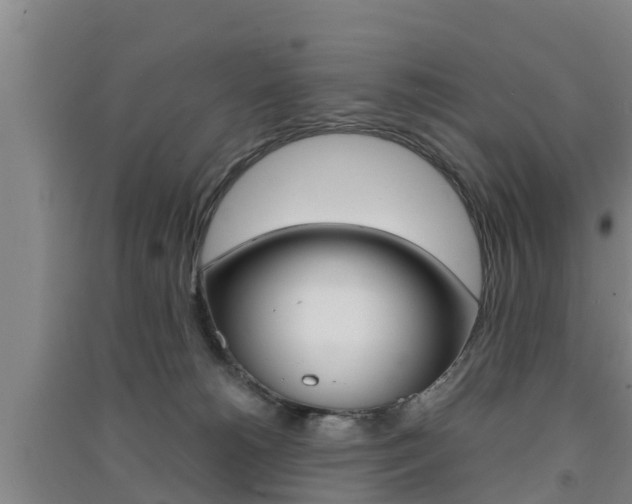 X0000091550180200708171048