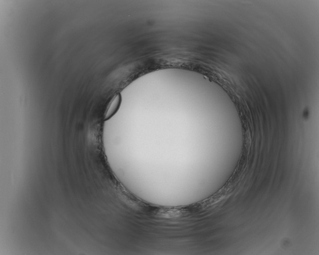 X0000091550181200708171048