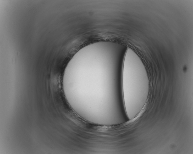 X0000091550182200708171048