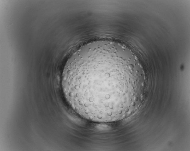 X0000091550183200708171048