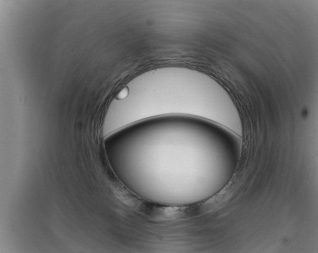 X0000091550184200708171048
