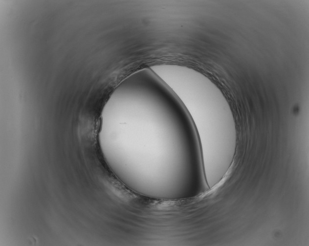 X0000091550186200708171048