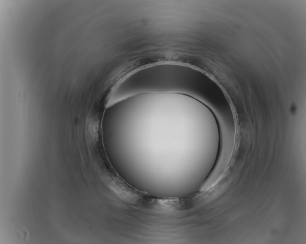 X0000091550188200708171048