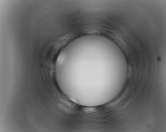 X0000091550189200708171048