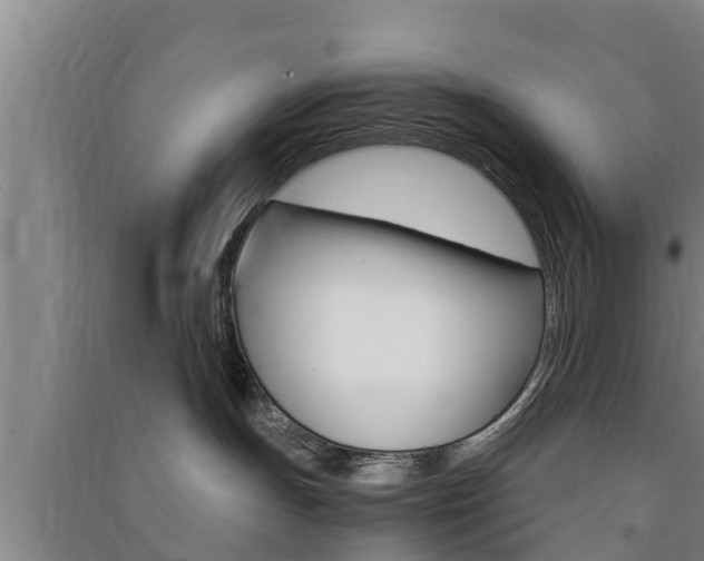 X0000091550191200708171048