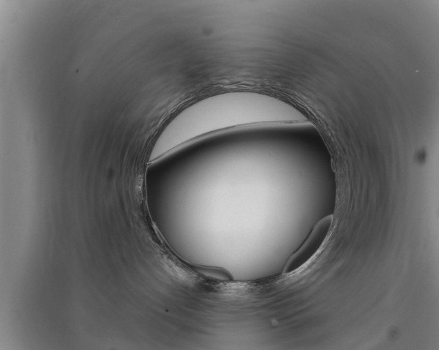 X0000091550192200708171048