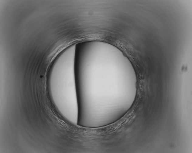 X0000091550194200708171047