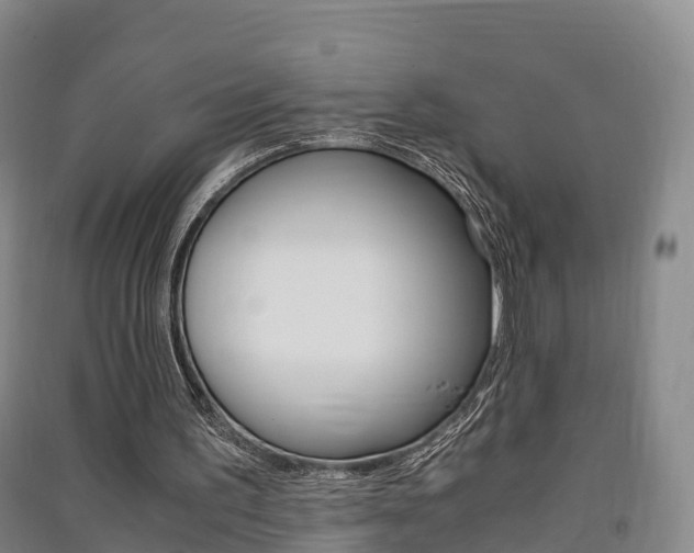 X0000091550195200708171047
