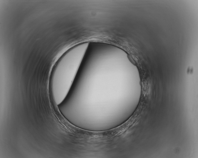 X0000091550196200708171047