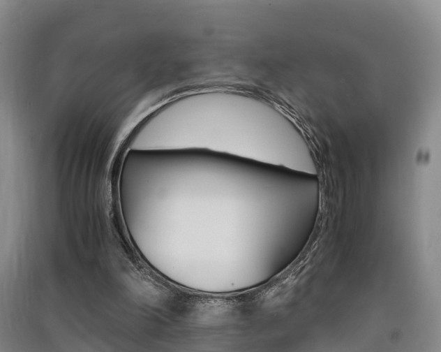 X0000091550198200708171047