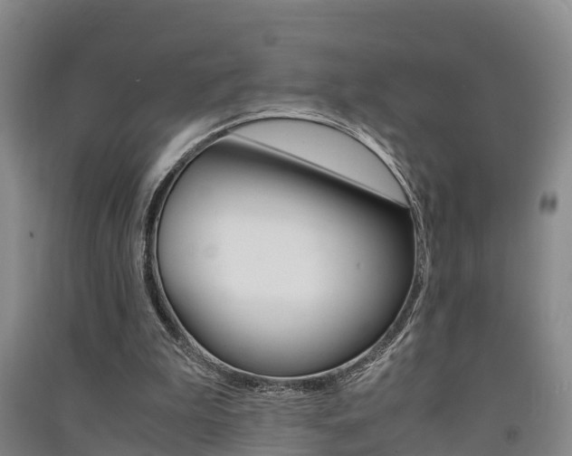 X0000091550199200708171047