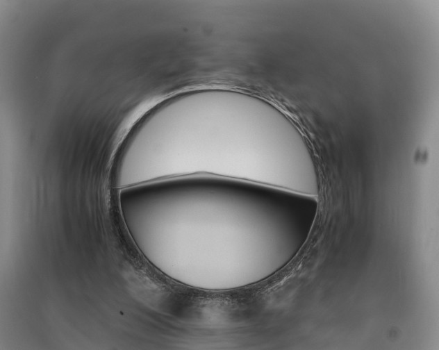 X0000091550200200708171047
