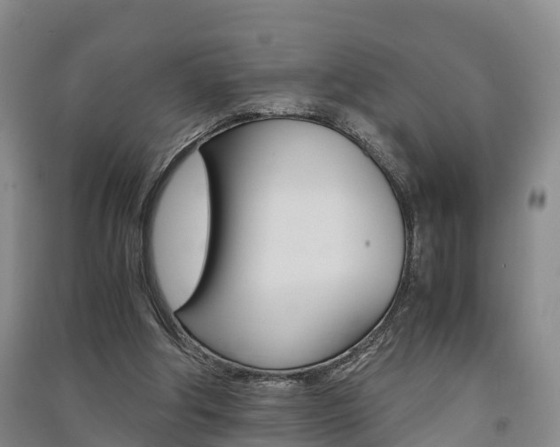 X0000091550202200708171047