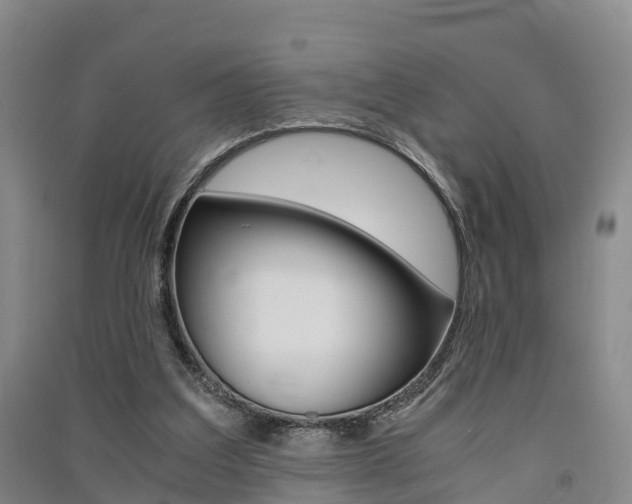 X0000091550203200708171047