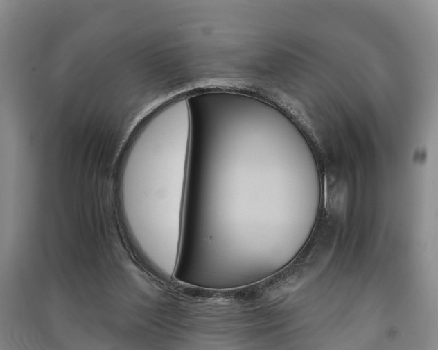 X0000091550204200708171047