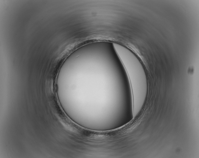 X0000091550205200708171047