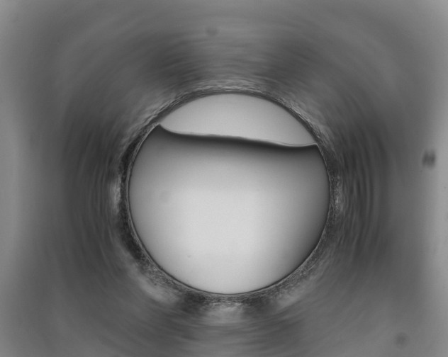 X0000091550206200708171047