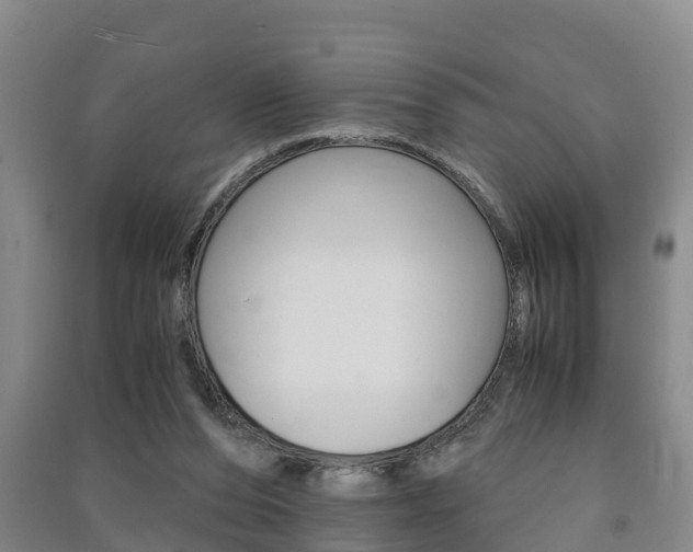 X0000091550208200708171047