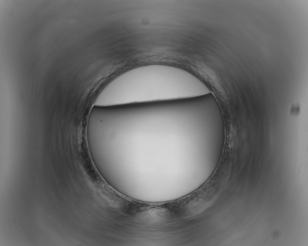 X0000091550210200708171047