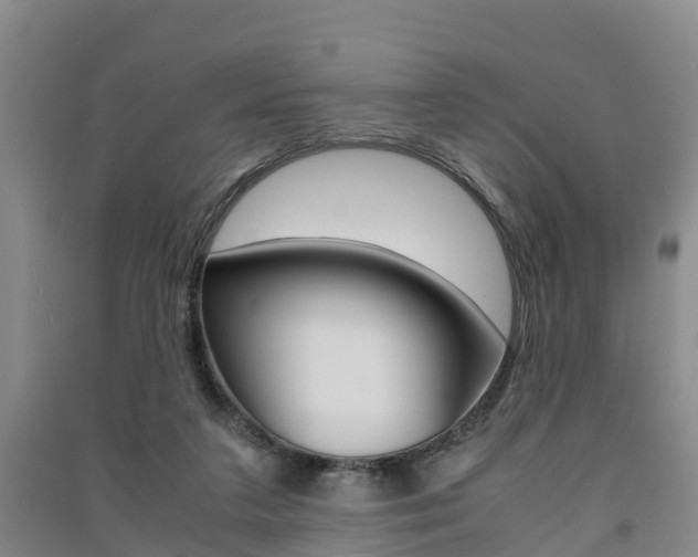 X0000091550211200708171047