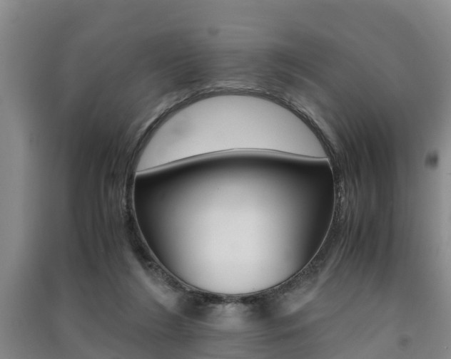 X0000091550212200708171047