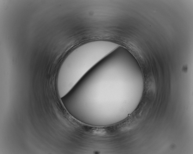 X0000091550214200708171047