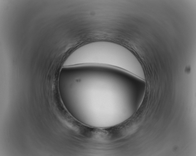 X0000091550215200708171047