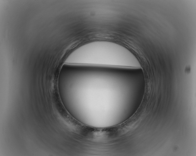 X0000091550216200708171047