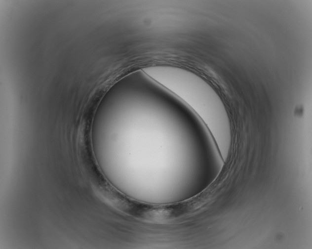 X0000091550217200708171047