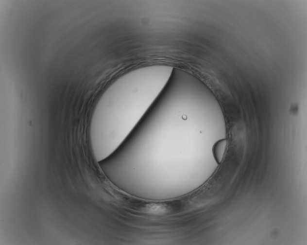 X0000091550218200708171047
