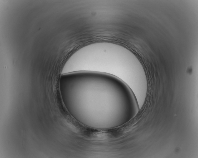 X0000091550219200708171047