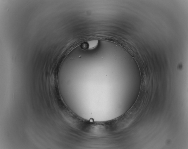 X0000091550220200708171047