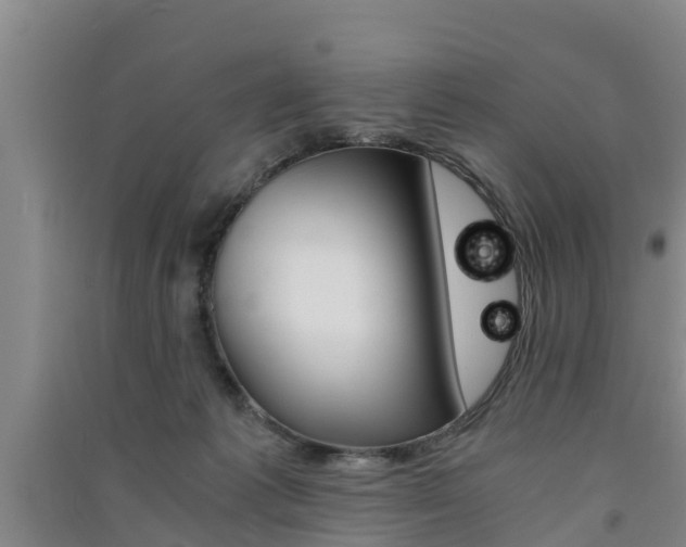 X0000091550221200708171047