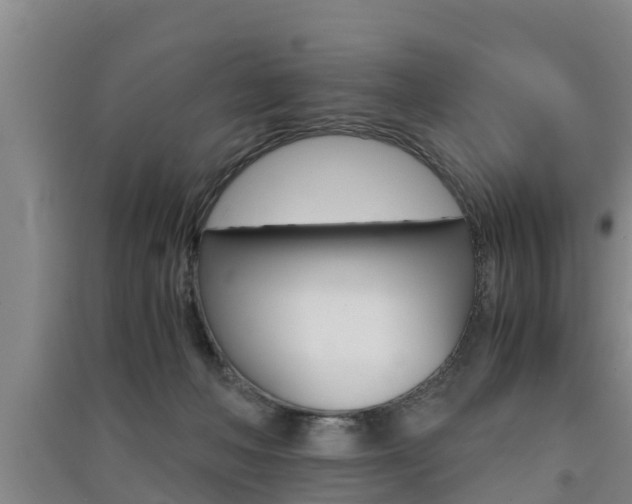 X0000091550222200708171047