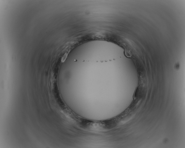 X0000091550223200708171047
