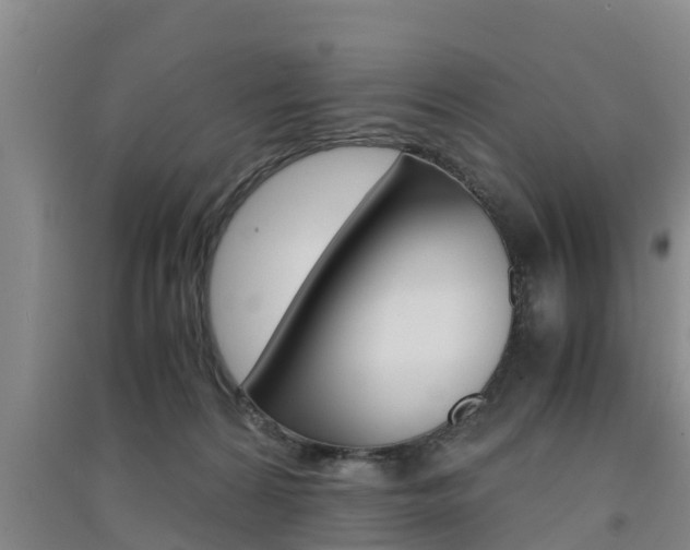 X0000091550224200708171047