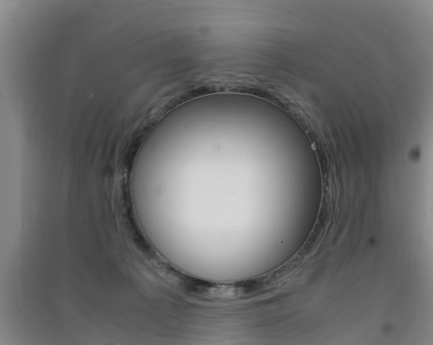X0000091550225200708171047