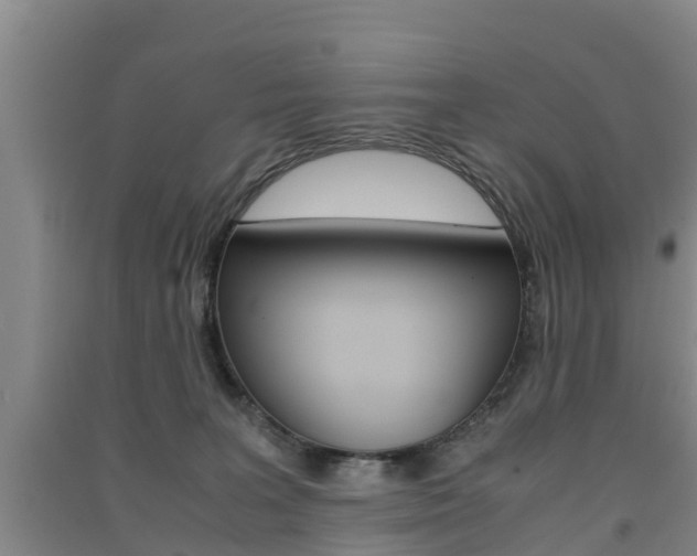 X0000091550227200708171047