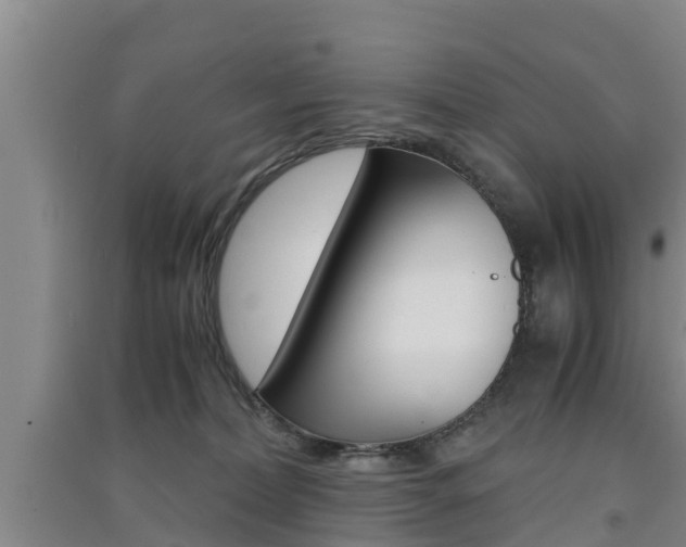 X0000091550228200708171047