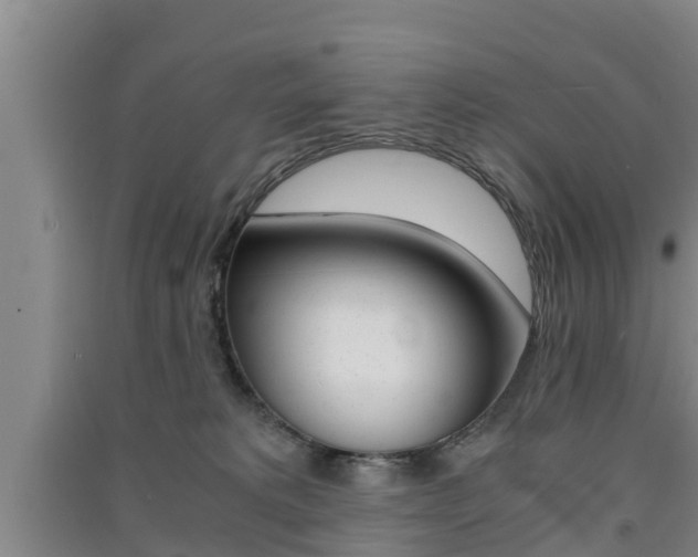 X0000091550229200708171047