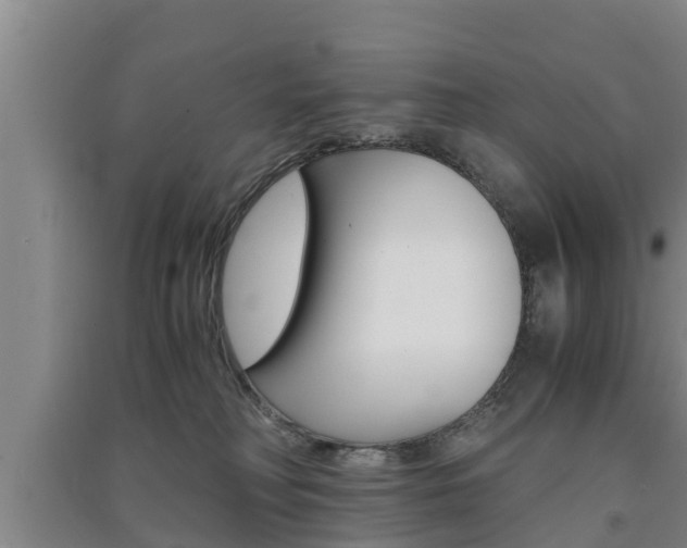 X0000091550230200708171047