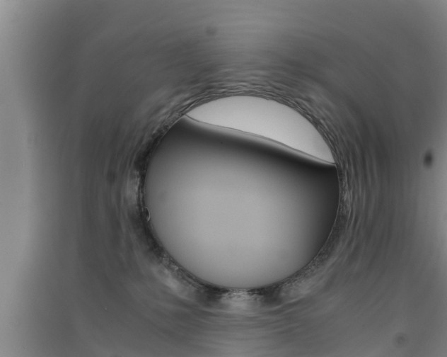 X0000091550231200708171047