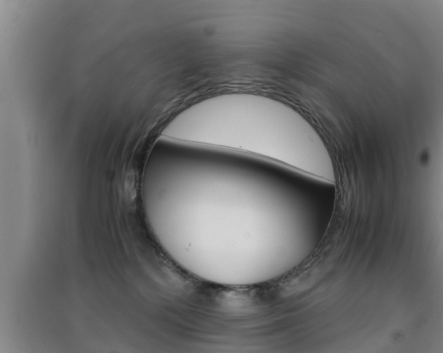 X0000091550232200708171047