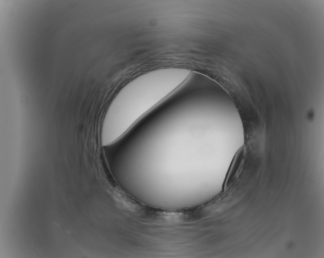 X0000091550233200708171047