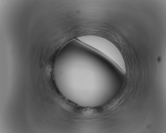 X0000091550235200708171047